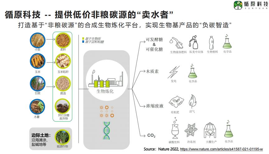 循原科技副总裁周世丰:从能源和物质的角度来理解合成生物学