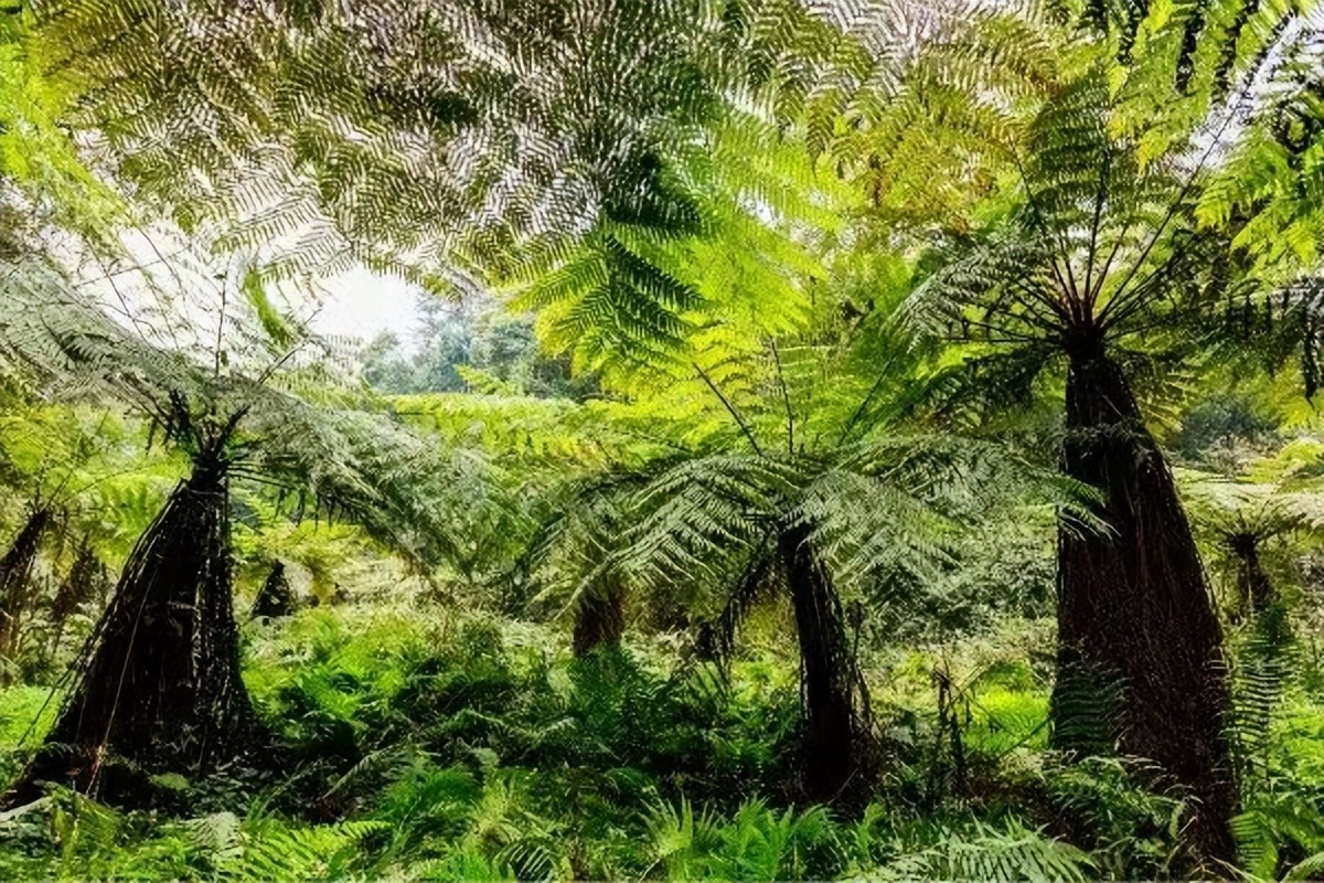 游玩石象湖,石象湖游玩攻略