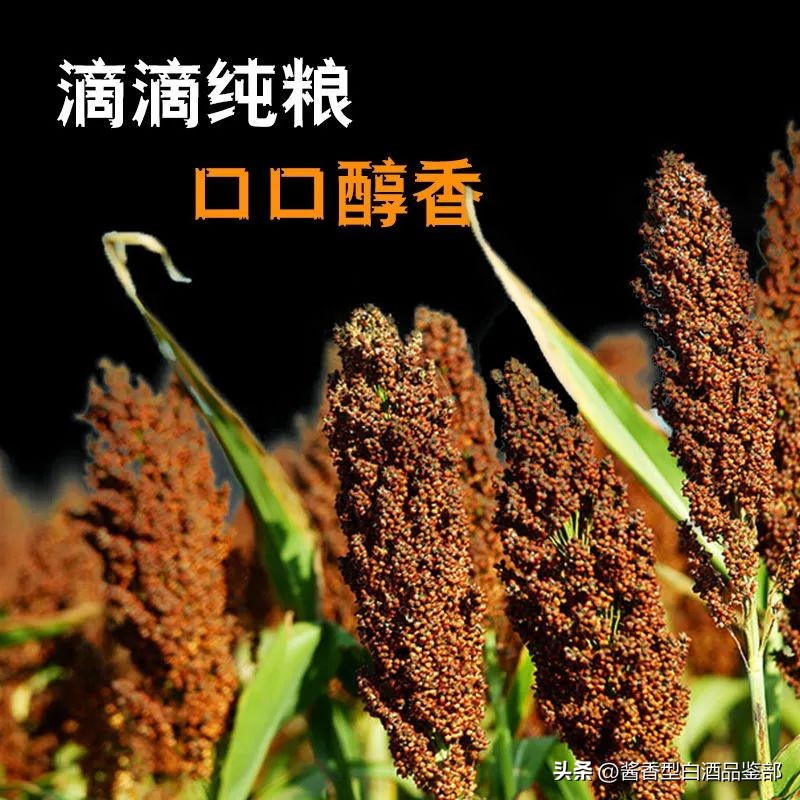 正宗79年贵州茅台镇赖茅酒,茅台镇赖茅53度封藏酒