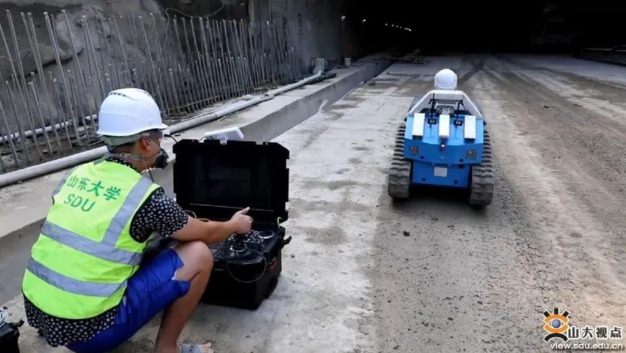 乘风破浪再奋进!姗姗带你看SDU最新学术一览