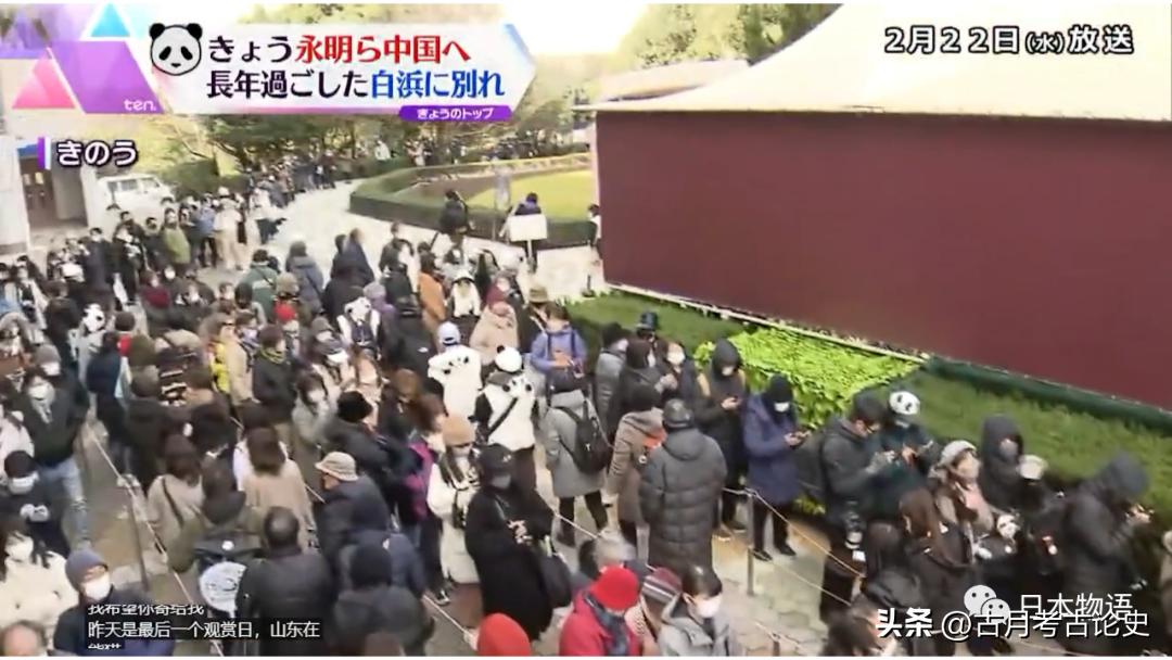 旅日大熊猫回国日本人反应,四只旅日大熊猫陆续归国