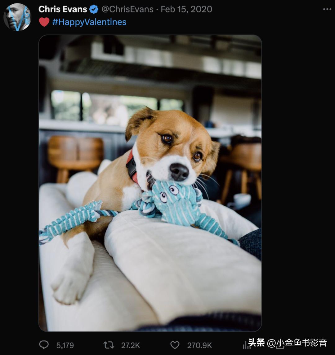 鐚庨拱涓庡啲鍏垫辰鑾敺鐖祐s姝讳緧,缇庨槦鍐叺鐚庨拱姝讳緧