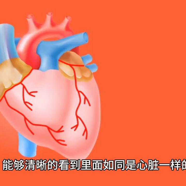 惊悚恐怖电影,惊悚乐园