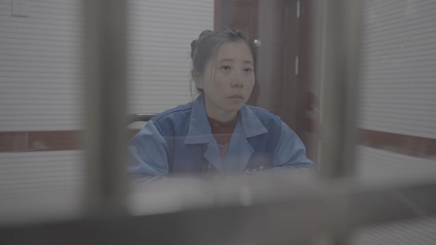 抱着“师父”画像不许人碰，大肆为境外“师父”敛财……他们，为何如此疯迷？