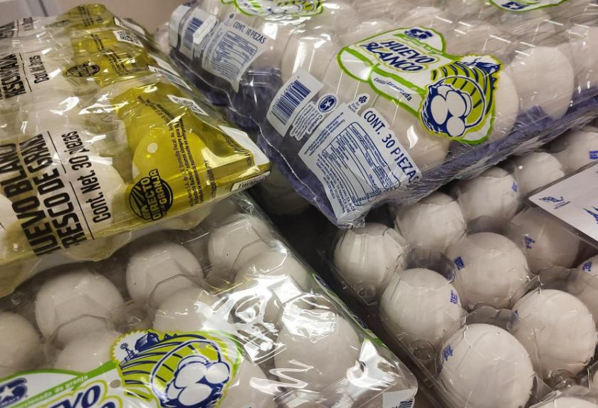 蛋价飞涨下，美国人各出奇招：有人*私走**鸡蛋，有人自己养鸡