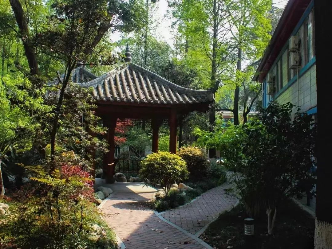 成都市金牛区成都七中八一学校,成都金牛区七中八一高中