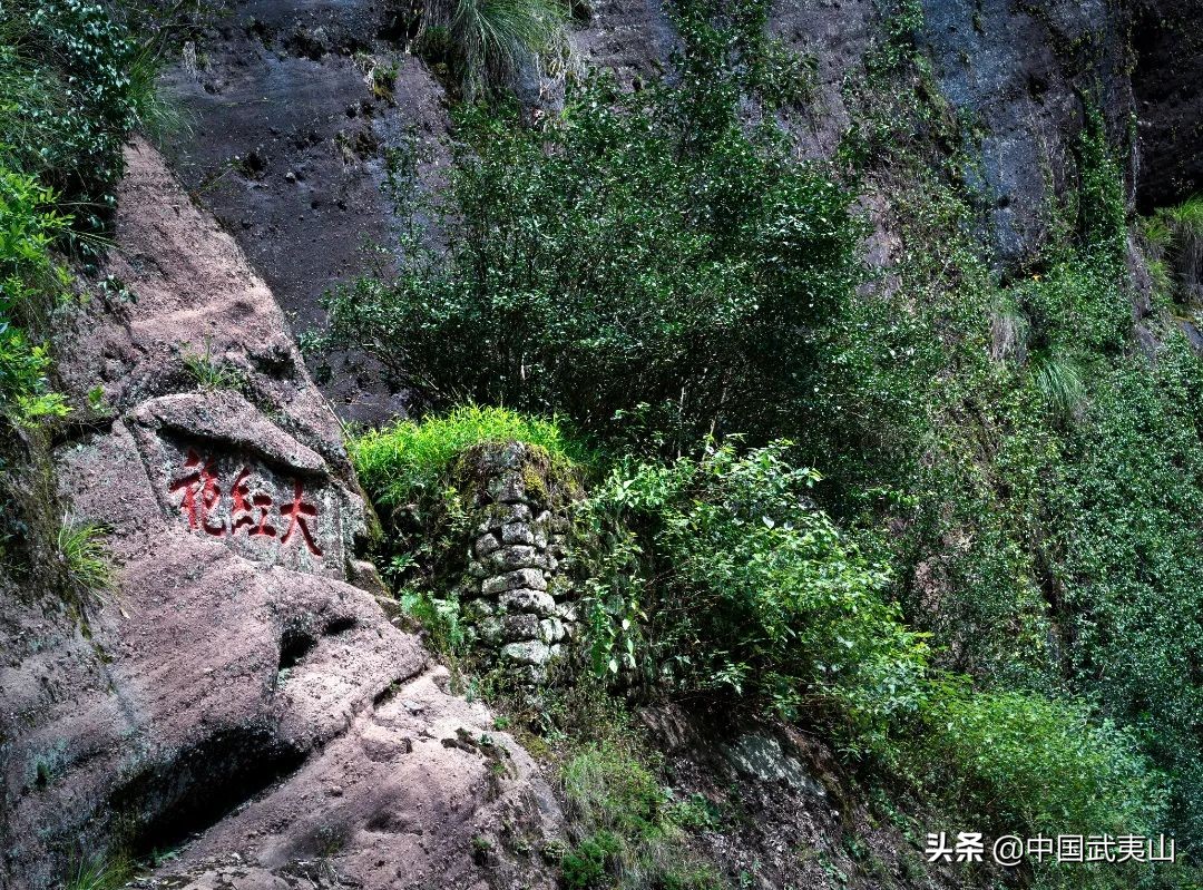 武夷山3-4天攻略,自由行武夷山攻略