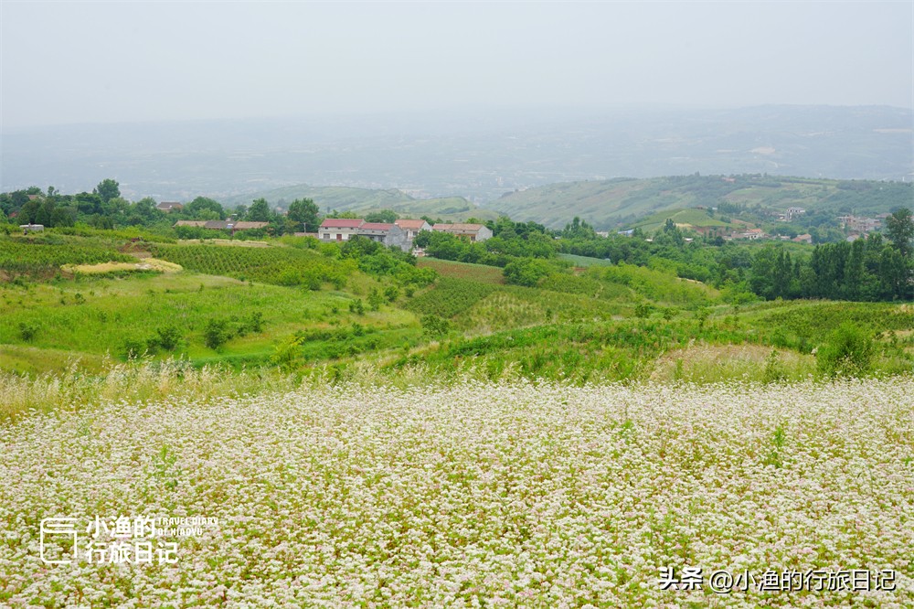周末西安旅游攻略小众景点一日游,西安盛夏小众旅游攻略