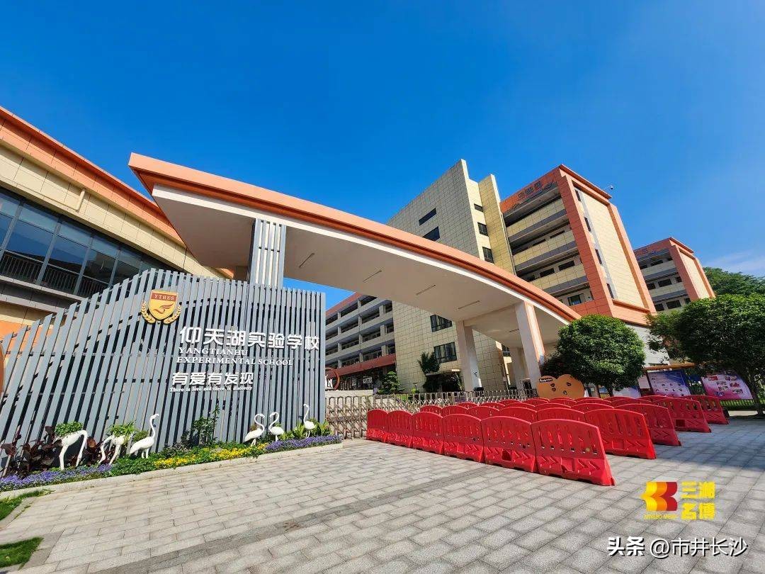 仰天湖天心实验学校,仰天湖实验小学怎么样