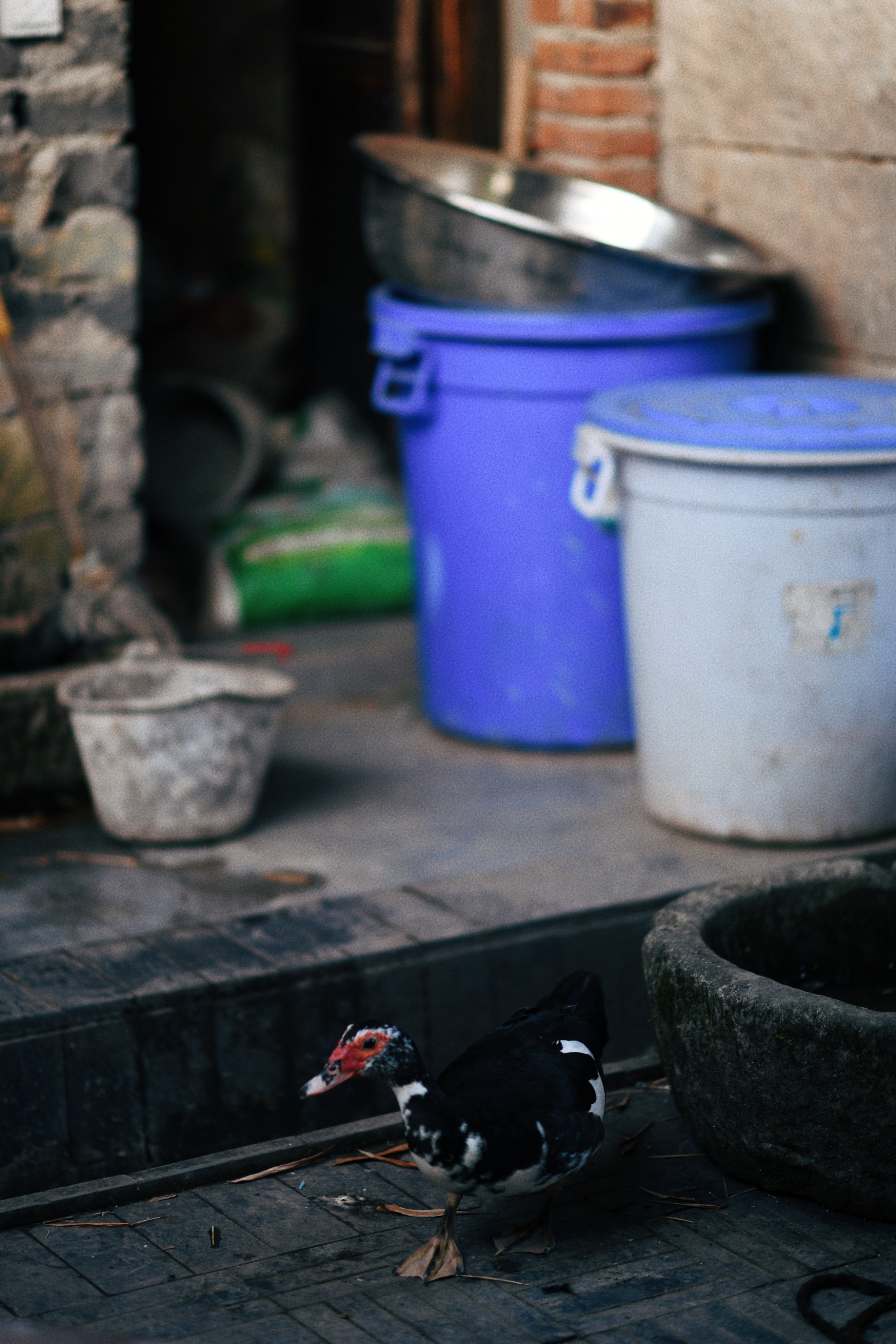 界石见山空谷民宿,巴南界石世外桃源