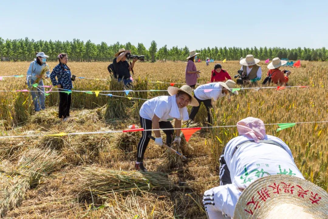 休闲农业与乡村旅游项目分析,休闲农业与乡村旅游什么时候开始