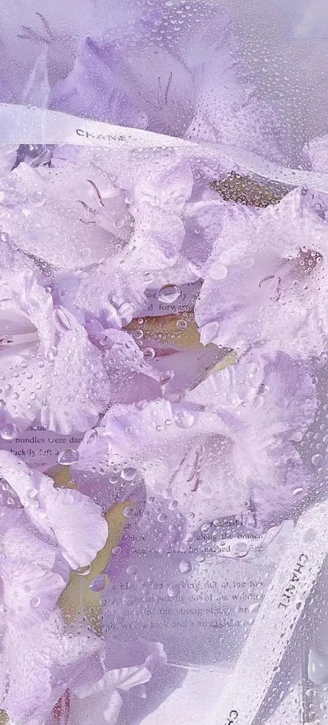 治愈系紫色手机壁纸,主屏和锁屏壁纸一对紫色