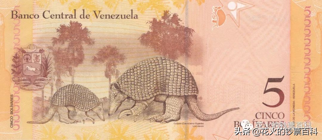 委内瑞拉二元纸币,委内瑞拉50000元纸币解析