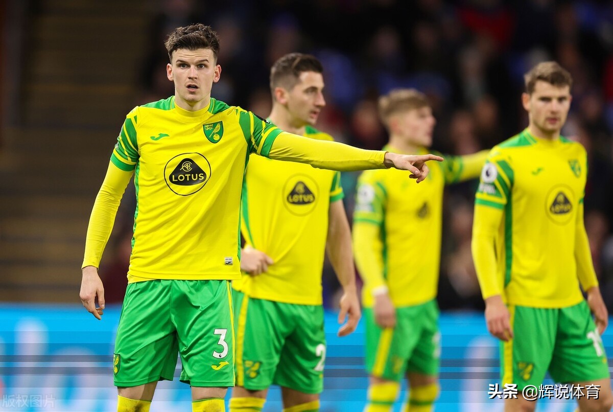 队徽是一只鹰的国家队,队徽是鸟的球队