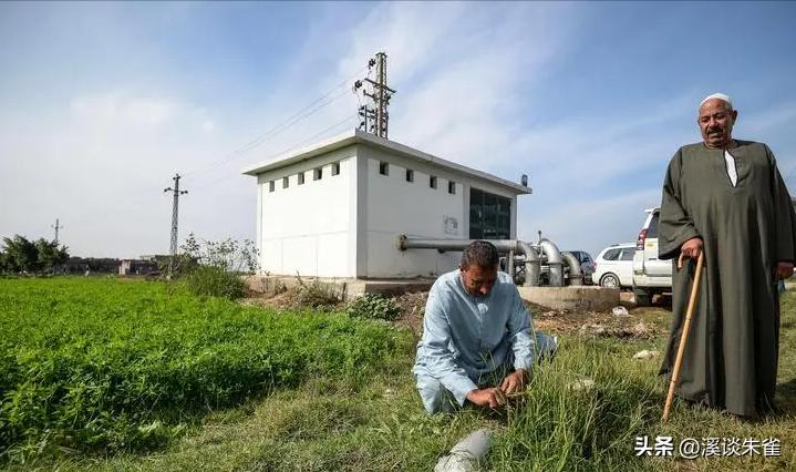 古埃及人都有什么饮食习惯,古代时候在古埃及吃的是什么食物