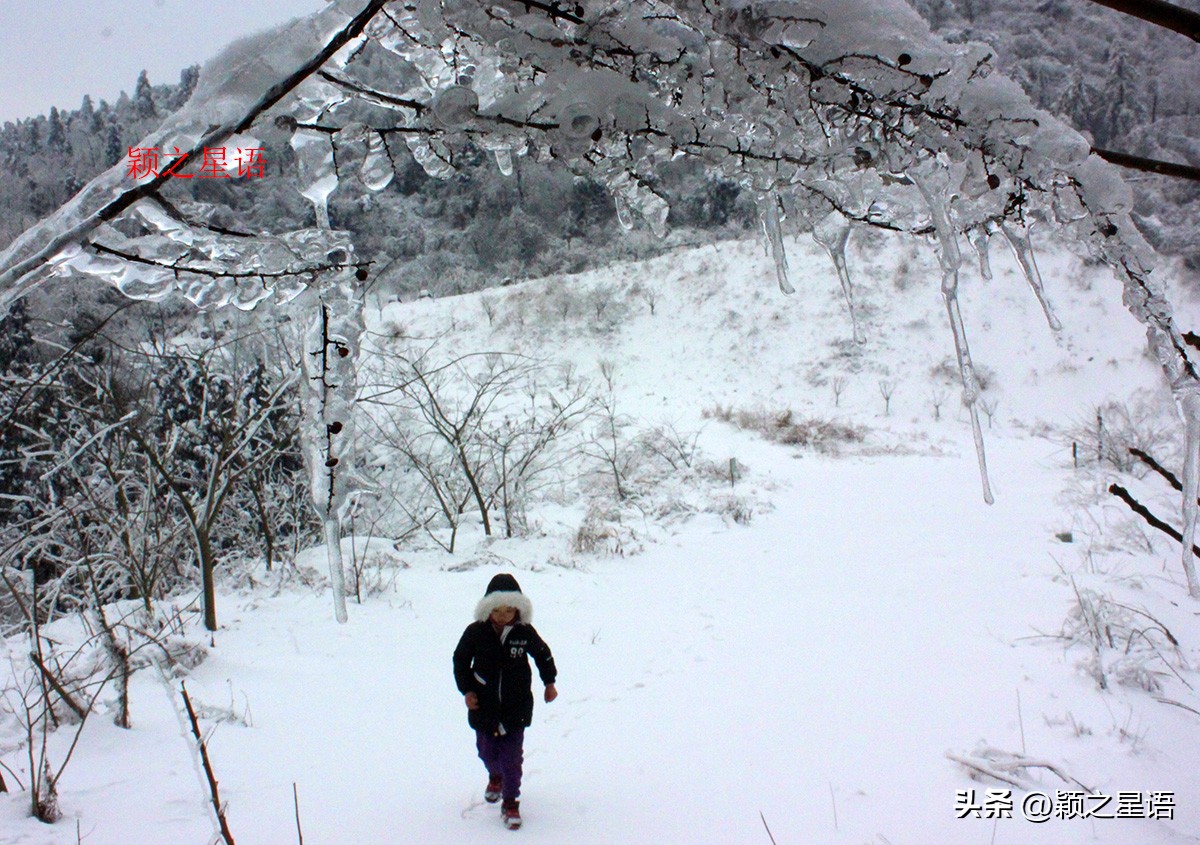宁波四明山秋色,宁波仰天湖大草原