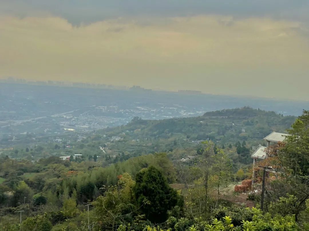 成都旅游豌豆尖,成都仰天窝近郊爬山推荐
