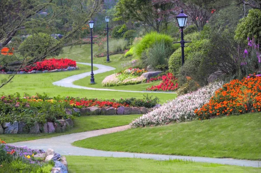 孩子们的快乐星球！周末带娃，肥西这些地方就够啦！