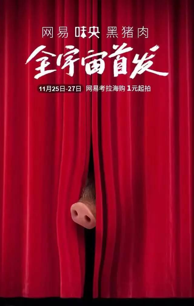 悲报！网易的养猪场，可能真要撑不住破产了！