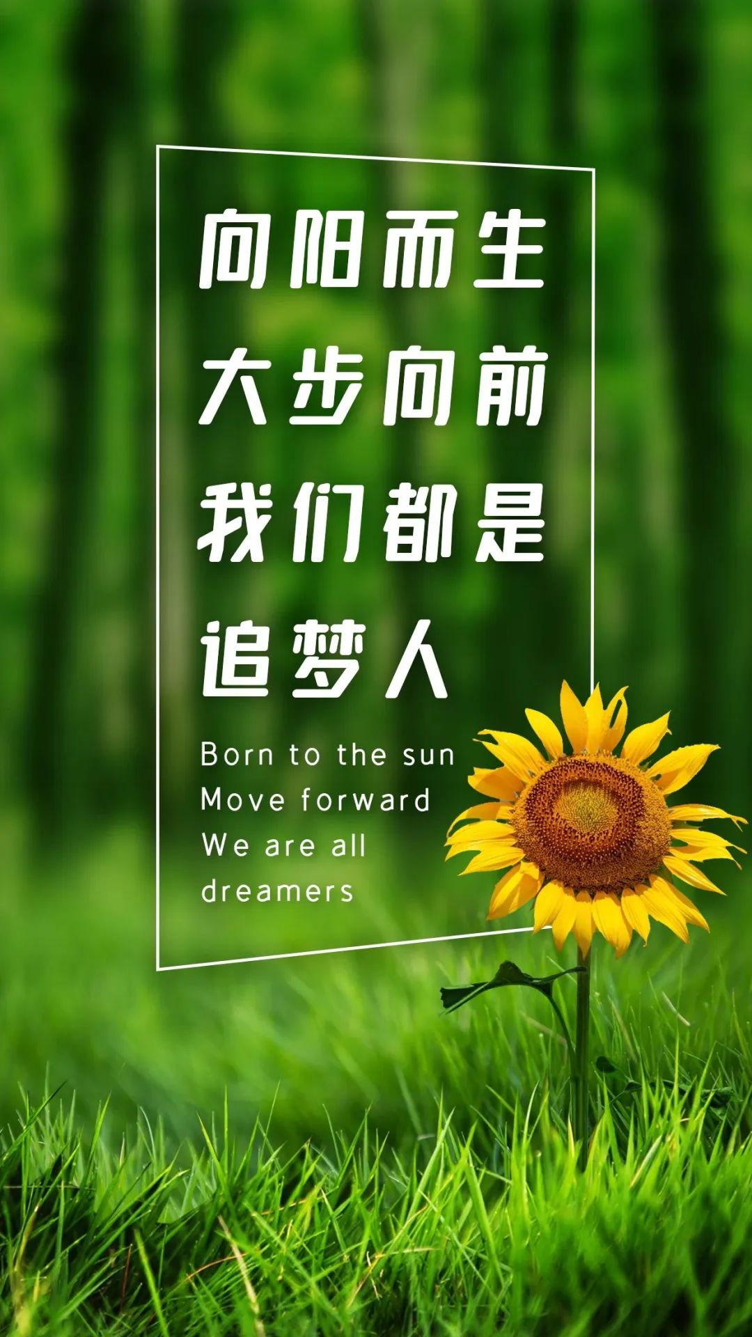 早安心语励志语录精辟,早安心语励志语录经典短句图片