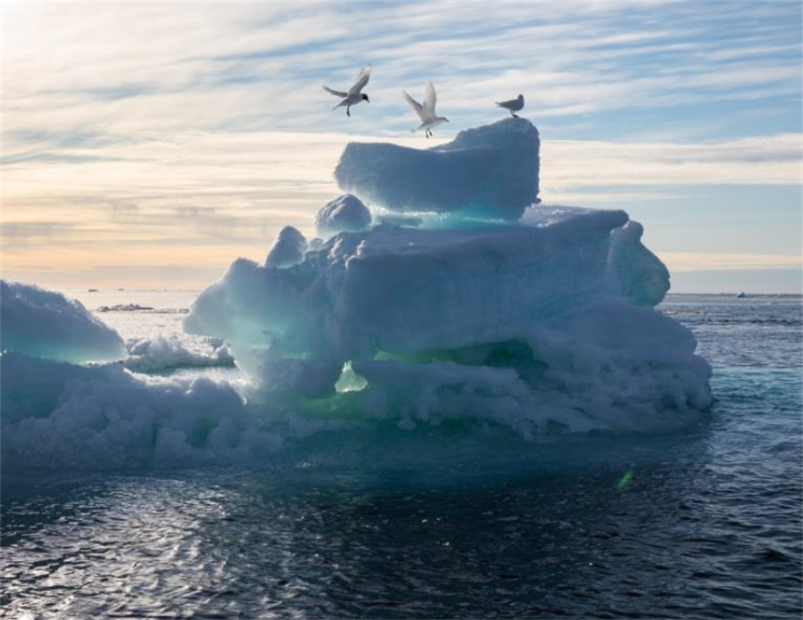 缇庡浗濂充汉閫夌編鍥剧墖,缇庡浗濂充汉鏈嶈姣旇禌