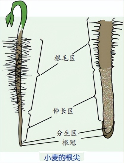 科学知识大全小学生必背,科学知识大全全集