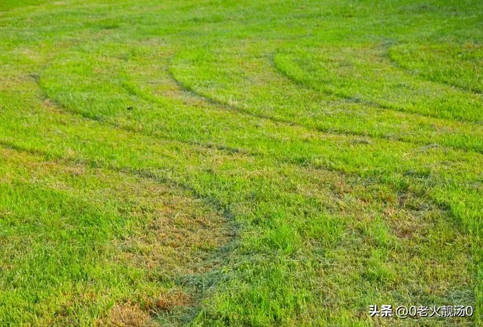 创业赚钱的十三个秘密是什么,创业的一些小秘密