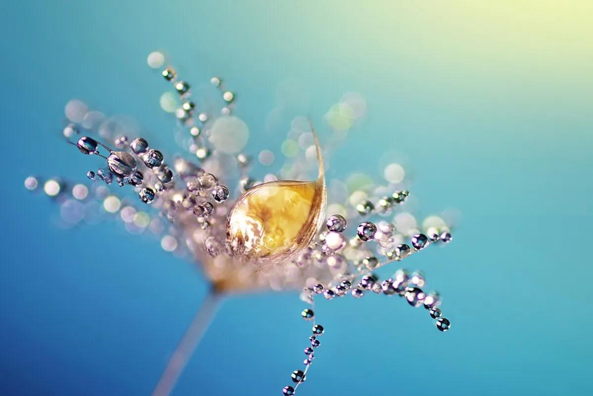 自卑是一点点被治愈的,自卑是一种容易刻入骨子里的东西