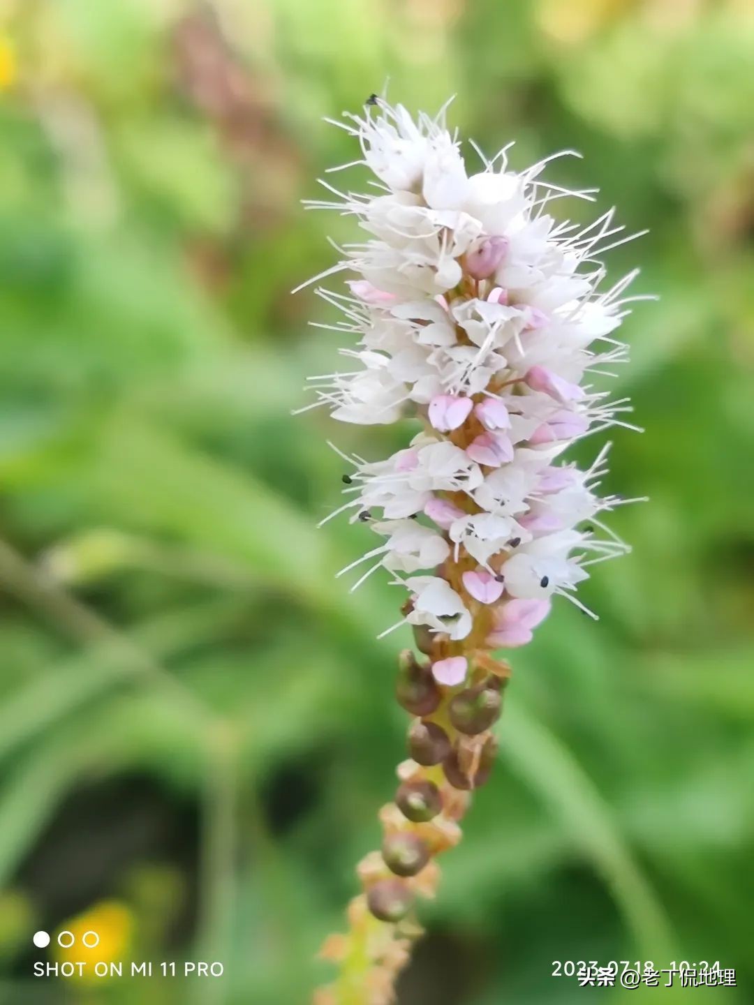 川西大环线马尔康线路推荐吗,川藏317阿里大环线地图及攻略