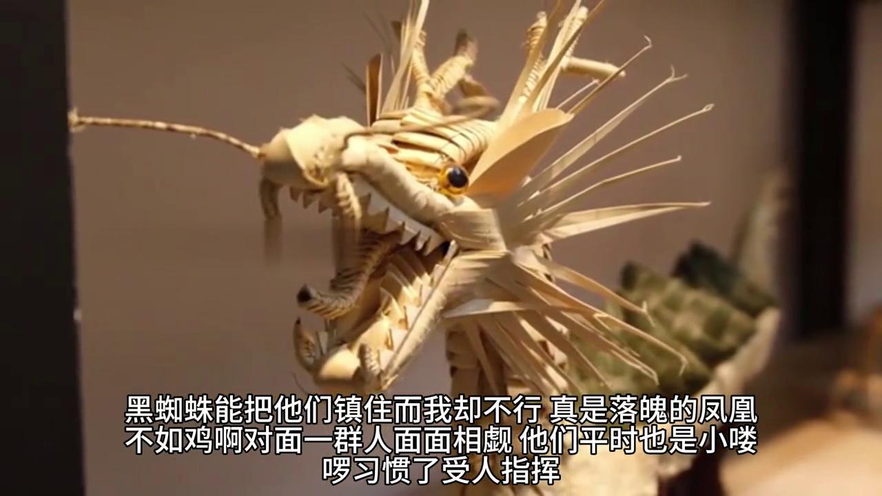 不良之年少轻狂656,不良之年少轻狂全集免费看完整版