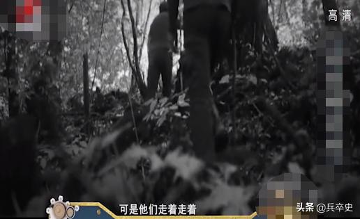 野猪林诡异事件,野猪林神秘事件