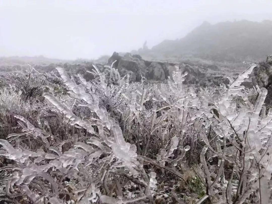 云南开远市下雪吗,开远多少年没下雪了