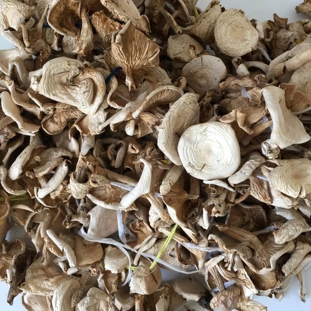 买买买！阿尔山邀你来体验海淘购物快乐！