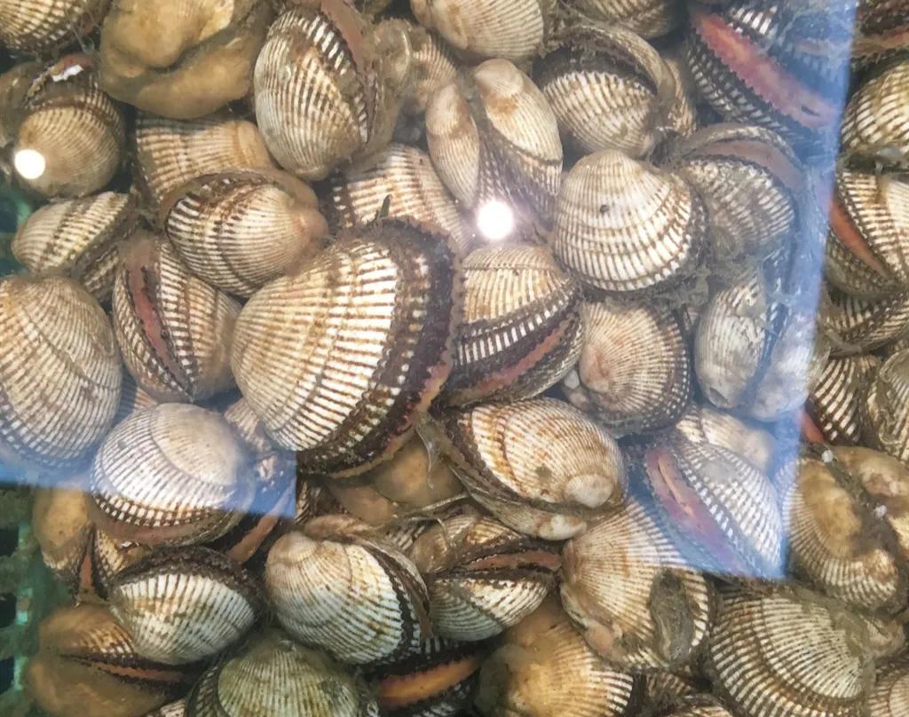 如何挑选冰冻好的小海鲜,最实用的各种海鲜做法都在这里啦