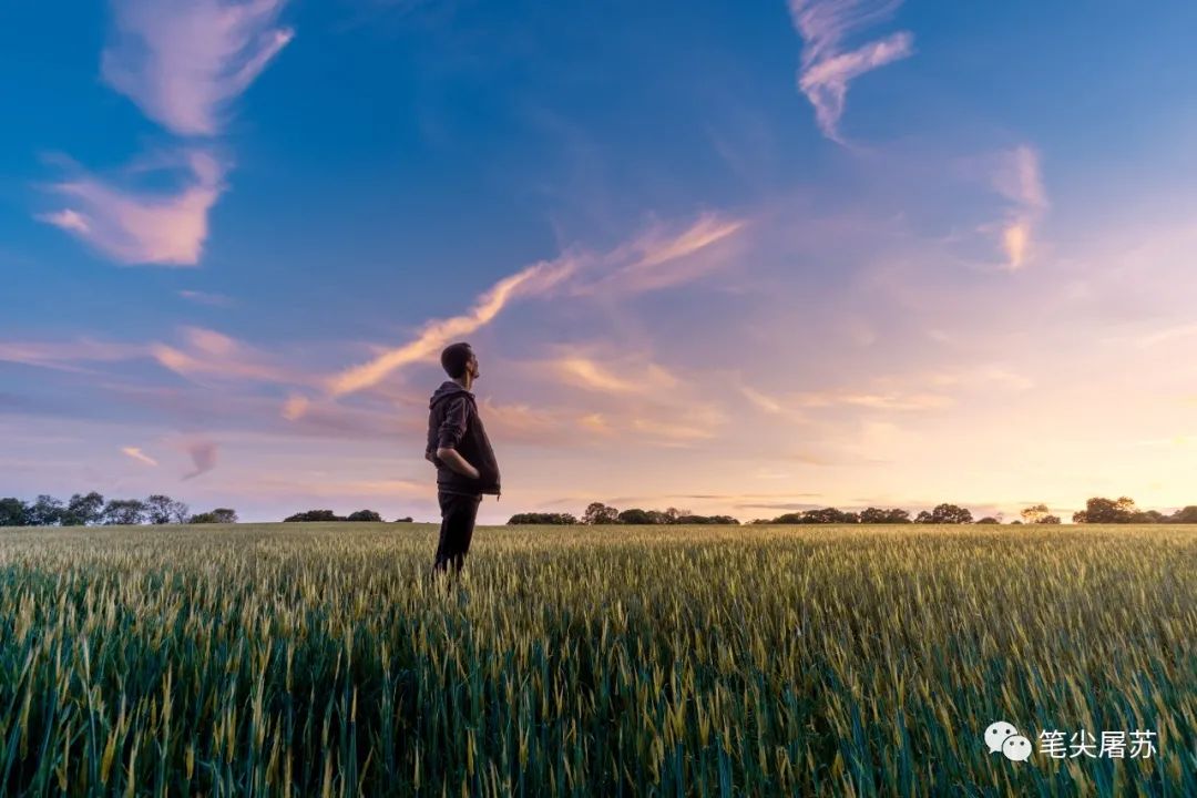 价值投资选股指南,价值投资选股看哪些指标