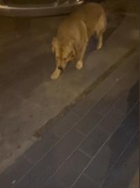 女厕的诡异之处,女厕所发现怪异男尸