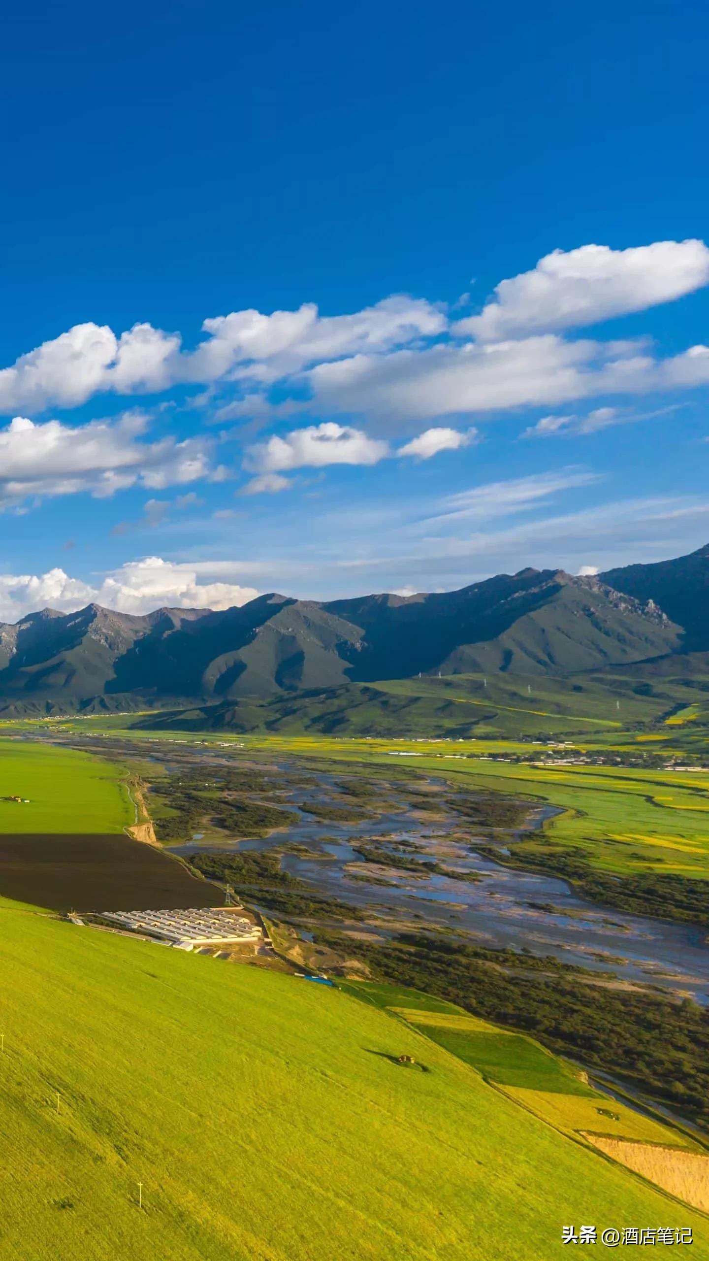 星级酒店餐饮总监全年总结,五星级酒店餐饮运营总监