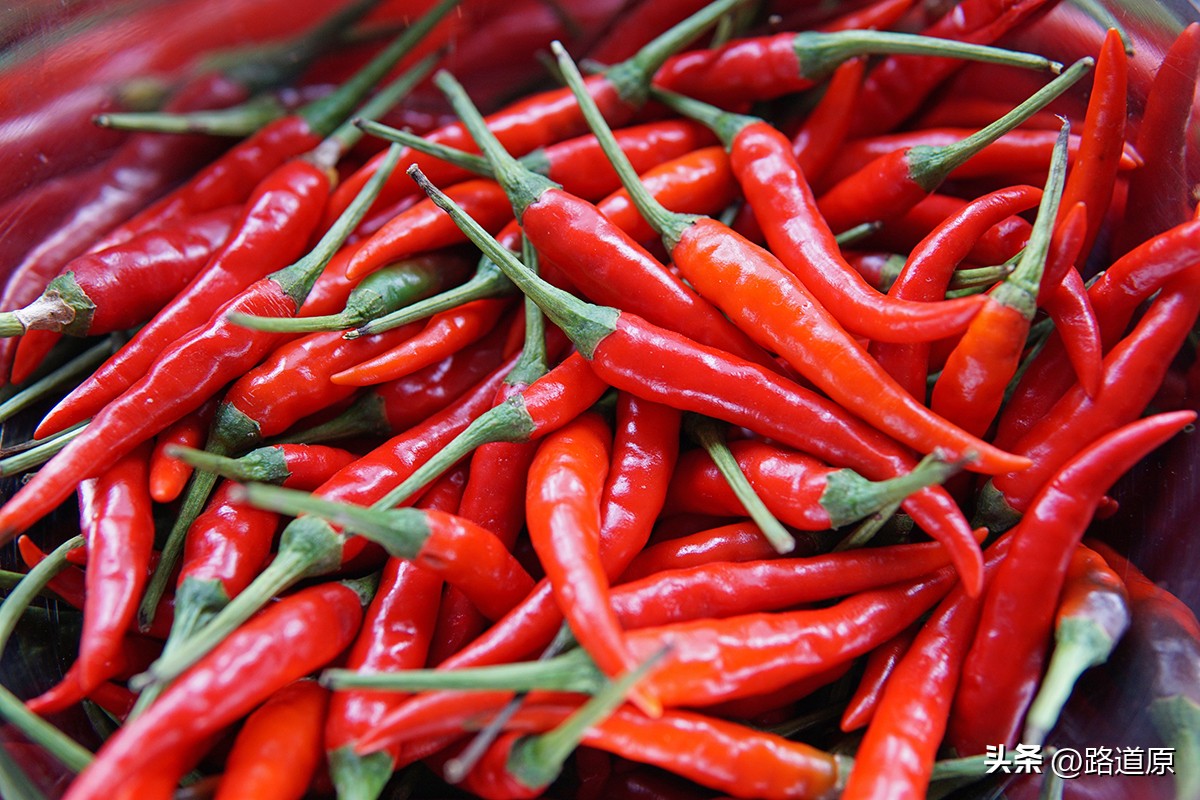 辣死一头牛的辣椒,挑战吃最辣的五种辣椒