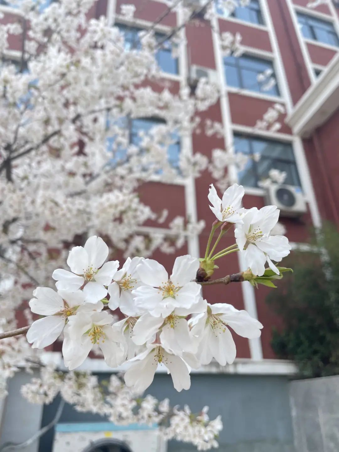 错过了一个秋天,错过了一个春秋