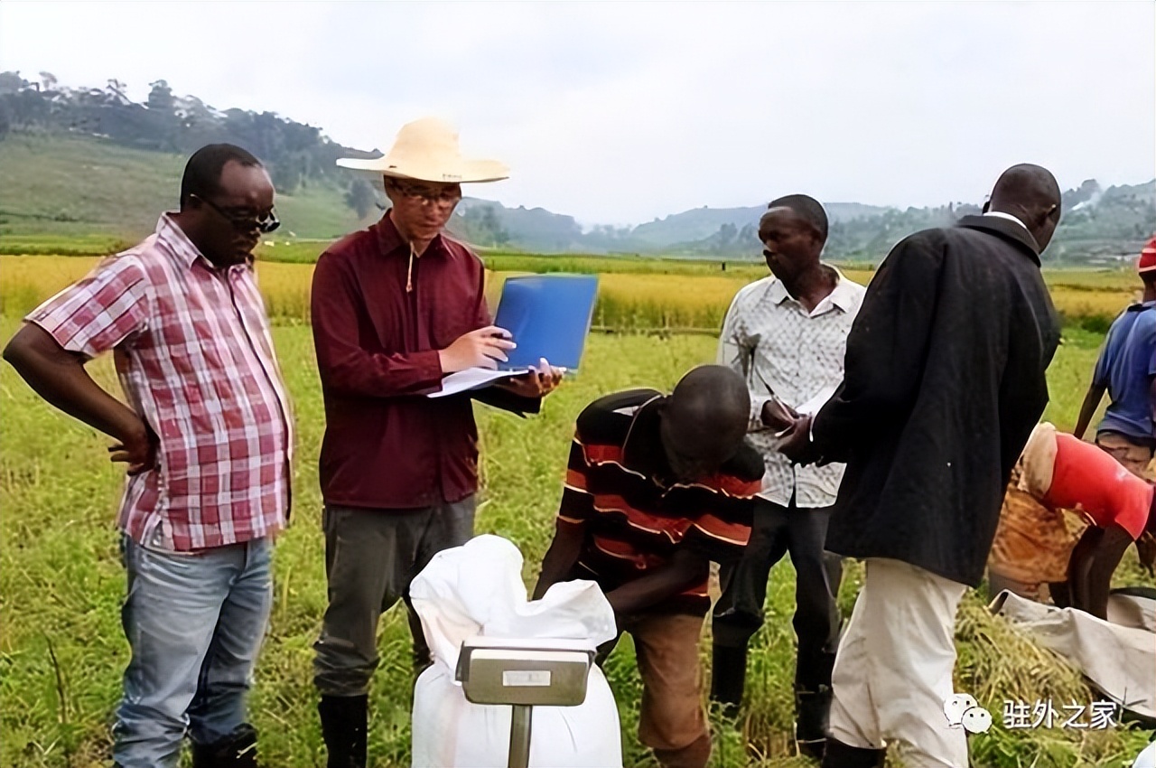 去非洲开农场，比挖金更赚钱？