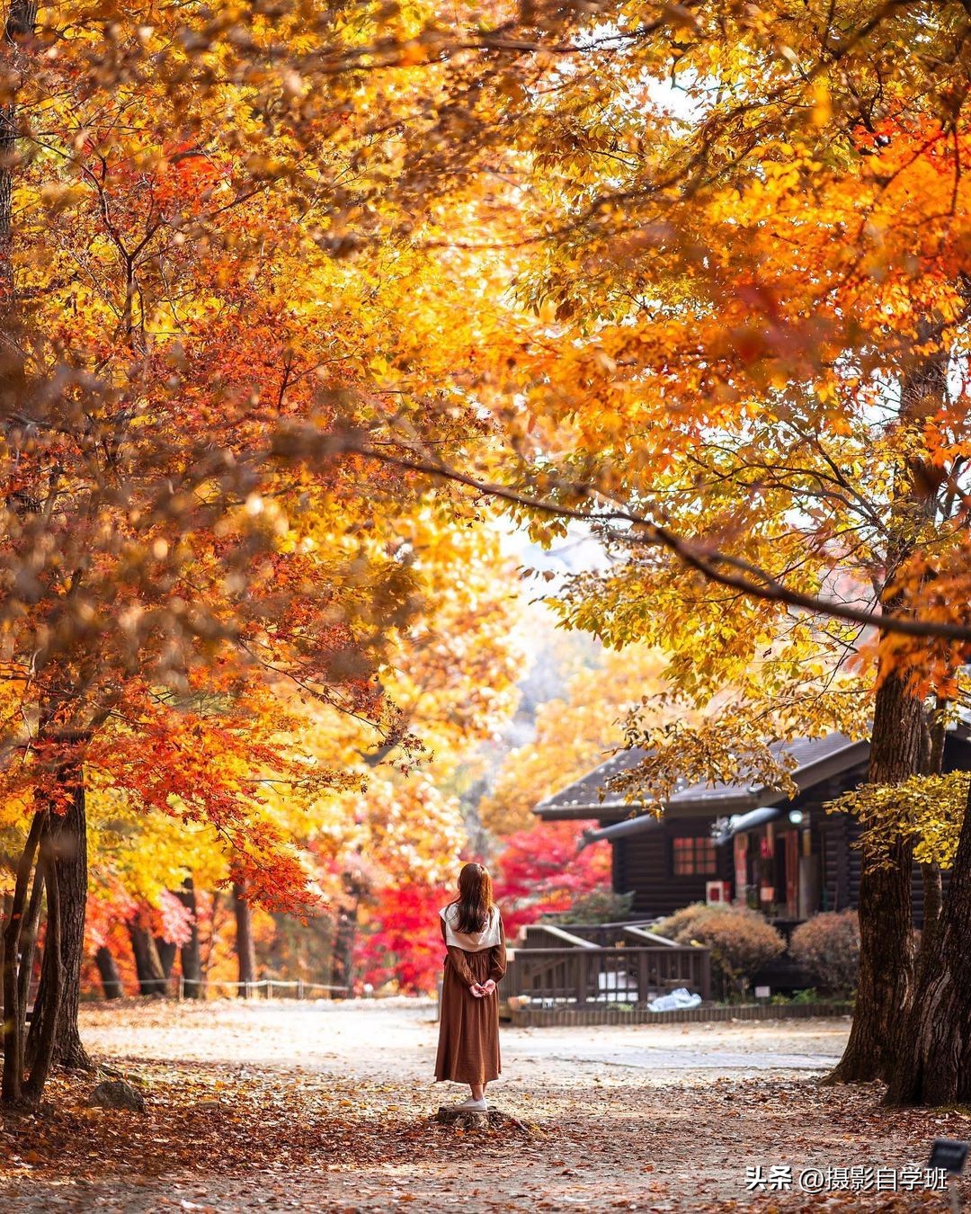 十大风景摄影技巧图片,摄影图片风景怎么拍好看