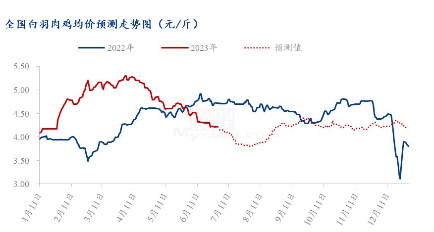 2023白羽肉鸡今后行情分析,白羽肉鸡市场分析