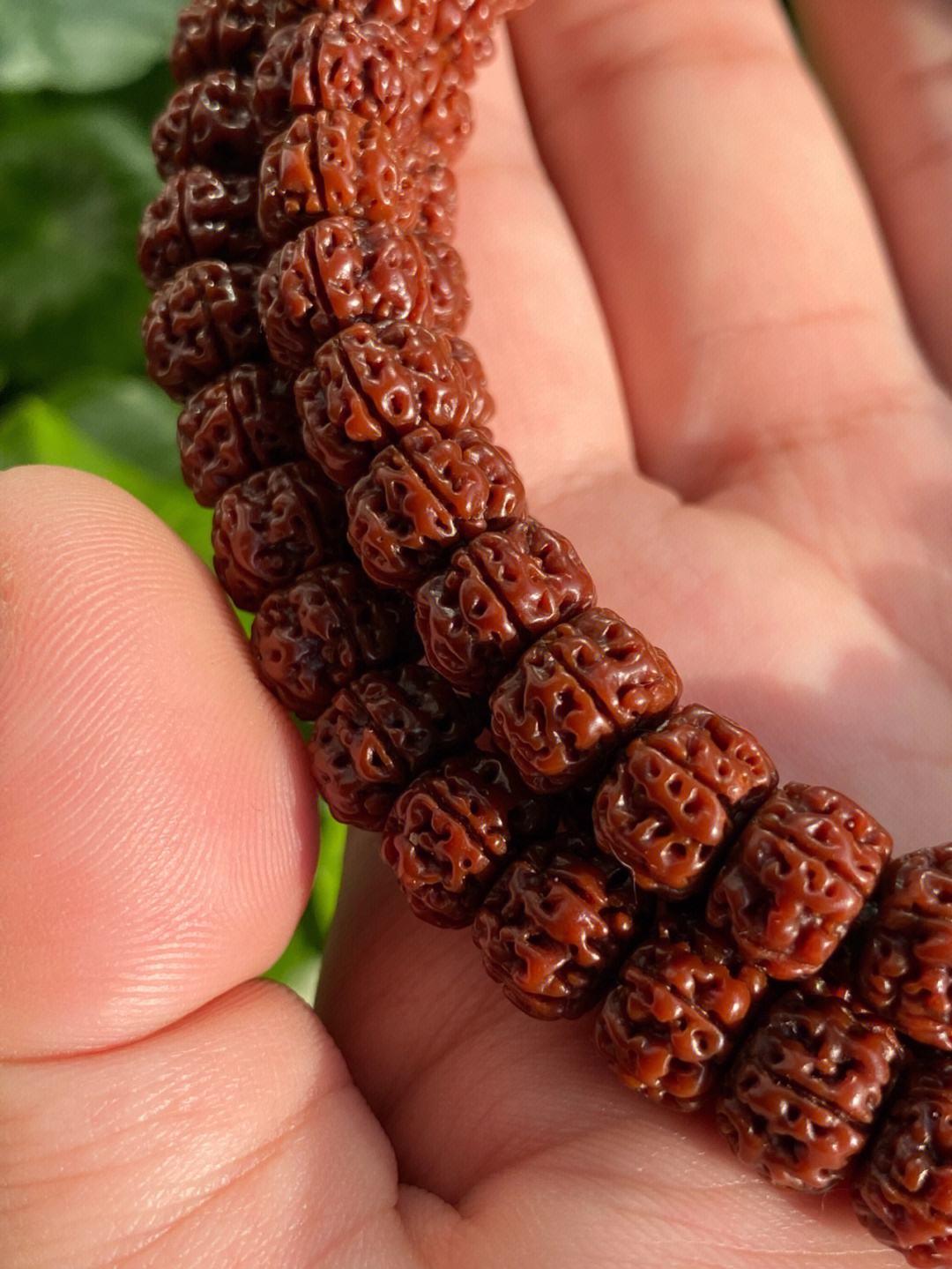 怎样使金刚菩提快速玉化,一串金刚要刷多久才会变成牛津红