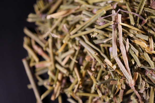 麻黄为什么受到限制,麻黄什么时候能成熟