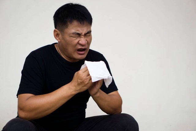 久咳干咳用什么方法好得快,南杏和北杏哪个治久咳干咳效果好