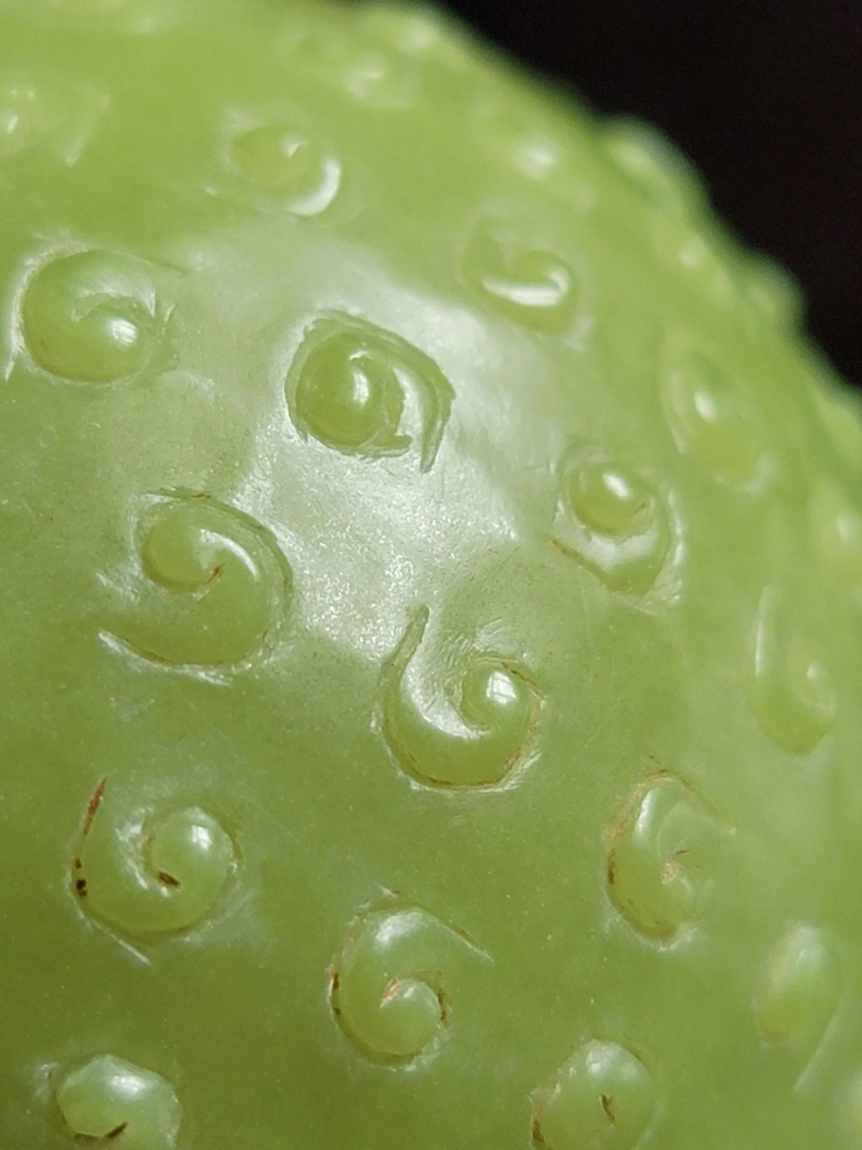 夜明珠是一种什么宝物,夜明珠真的存在吗是如何发光的