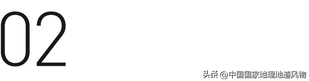 全国各地吃猪图鉴,哪个地方吃的猪最多