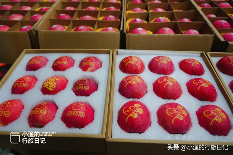 正宗陕西洛川红富士苹果水果,正宗陕西洛川苹果大果