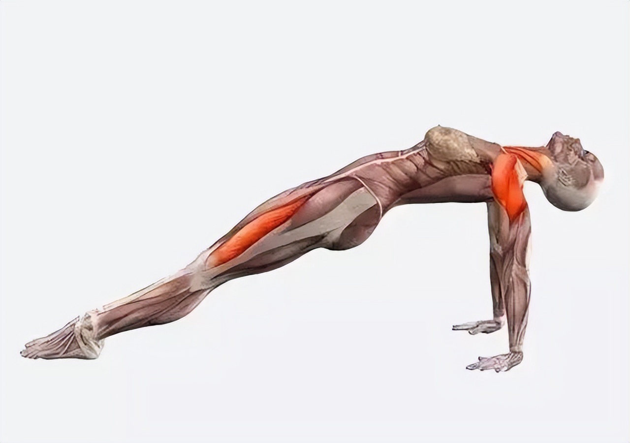 练瑜伽反板式腿抽筋，手腕疼？这样调整就对了