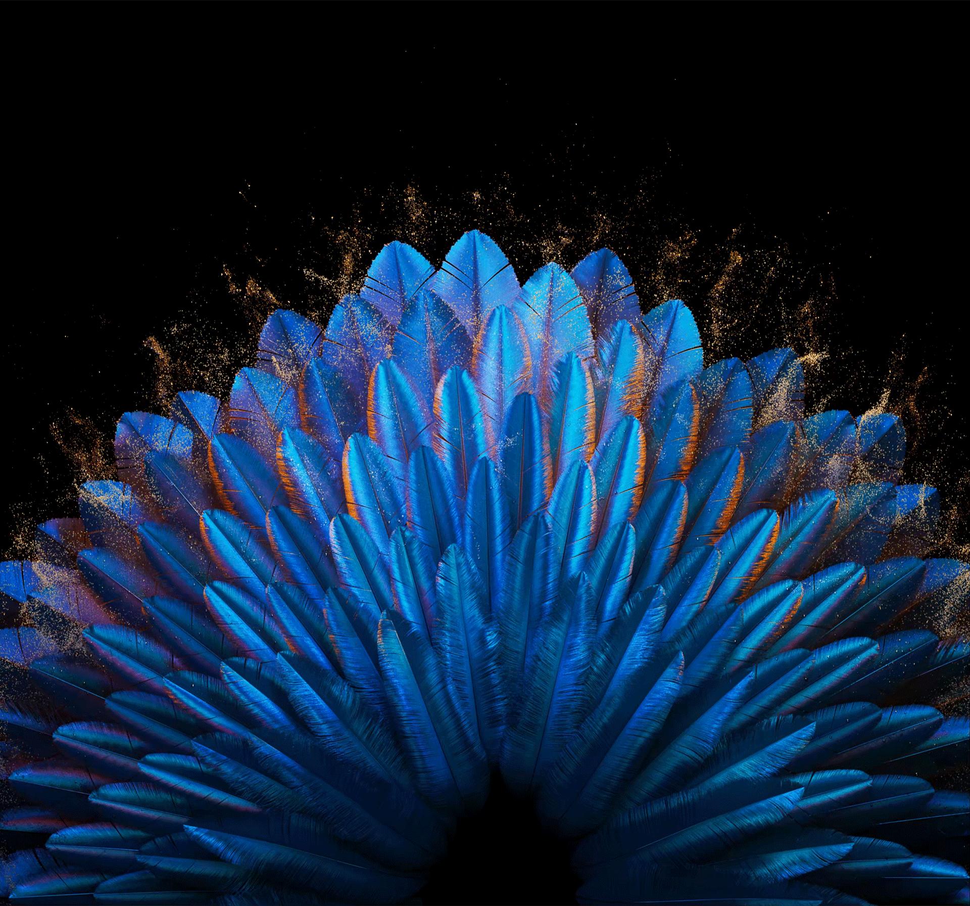 oppofindn2内置壁纸,OPPOFindN2Flip内置壁纸系列